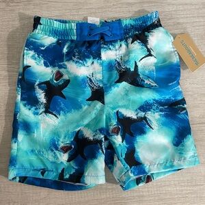 Thereabouts Swim Shorts